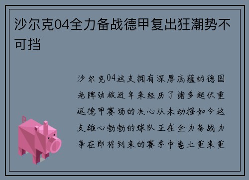 沙尔克04全力备战德甲复出狂潮势不可挡